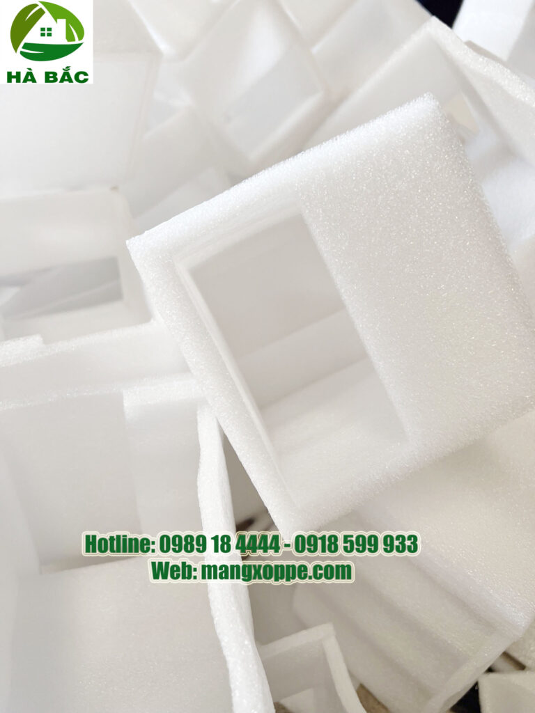 cat-xop-dinh-hinh-2024