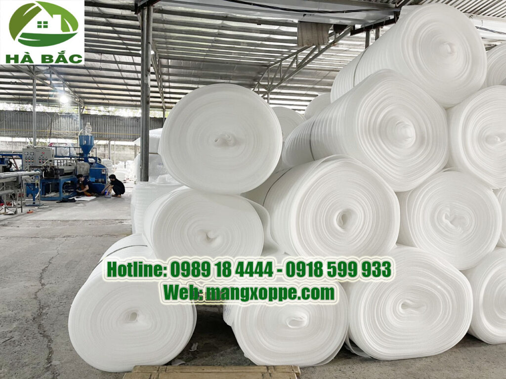 bao-gia-khay-xop-dinh-hinh-2024