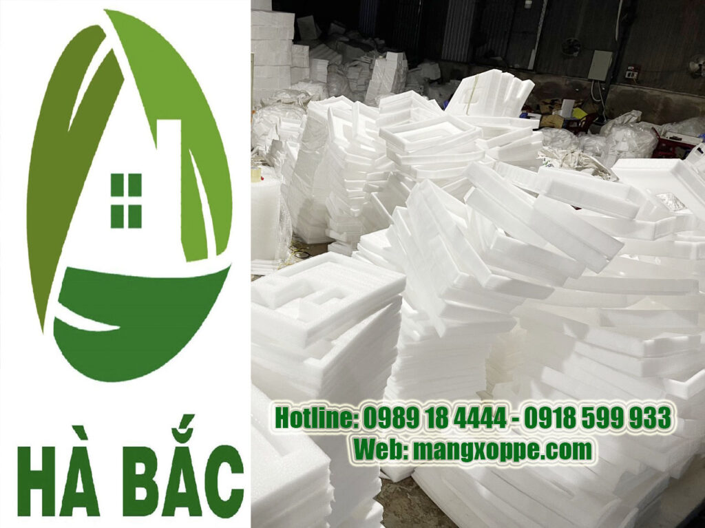 bao-gia-khay-xop-dinh-hinh-2024