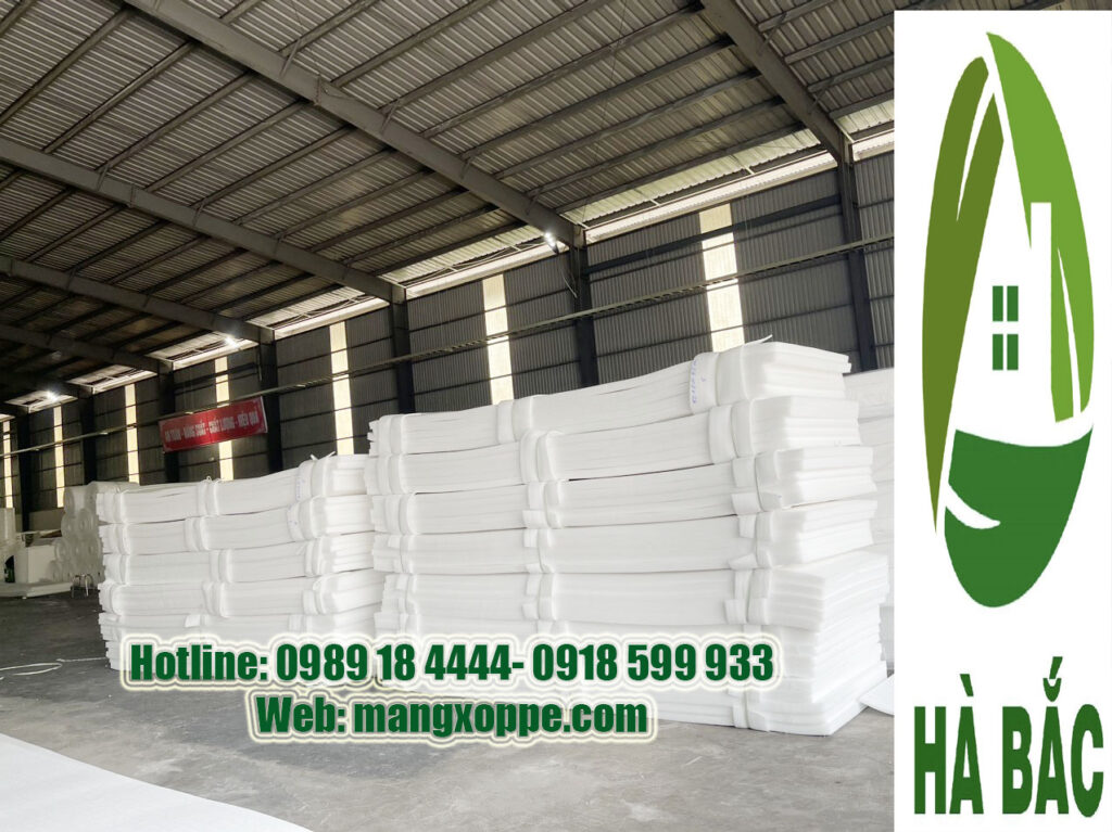ban-xop-dinh-hinh