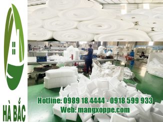 xop-dinh-hinh-dan-bia-carton