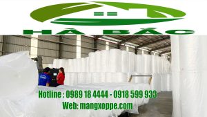 mua-xop-goi-hang-so-luong-lon