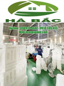 Cong-ty-san-xuat-bao-bi-xop-dinh-hinh