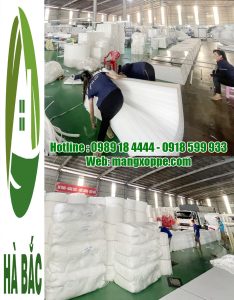 Cong-ty-san-xuat-bao-bi-xop-dinh-hinh