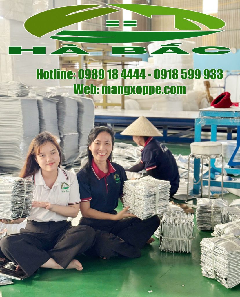 tui giu nhiêt lạnh cho kem