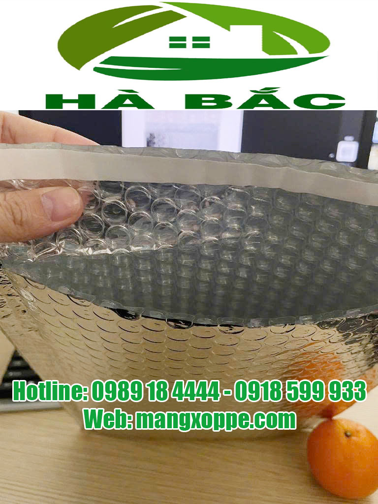 tui-niem-phong-chong-soc-trang-bac