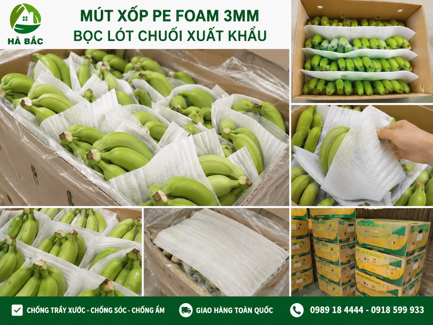 Mút xốp pe foam 3mm bọc lót chuối 